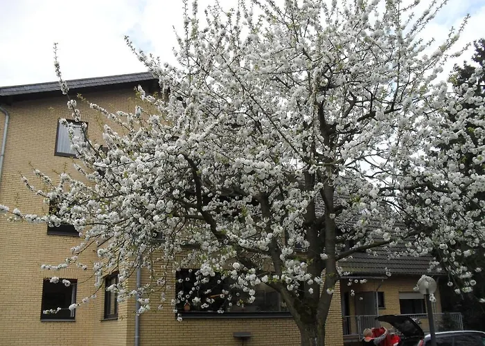 Tannenhof Mönchengladbach